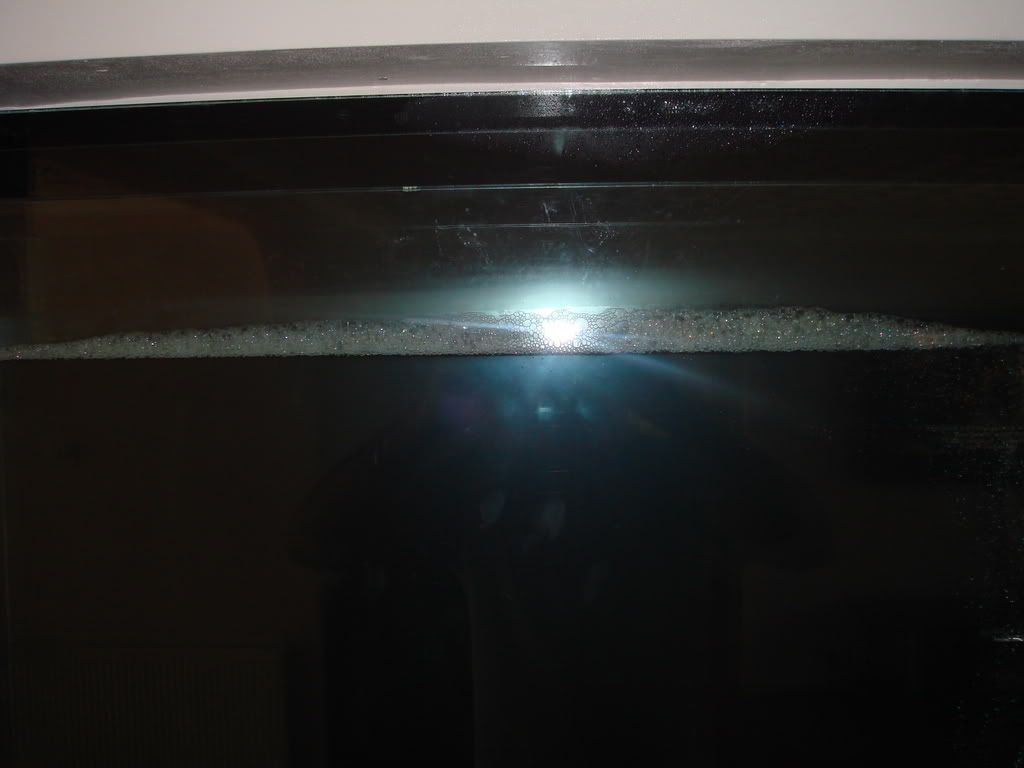 DSC04140.jpg