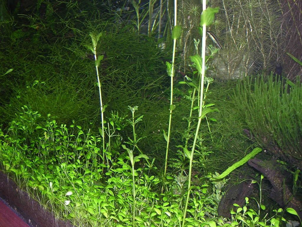 DSCN3073.jpg
