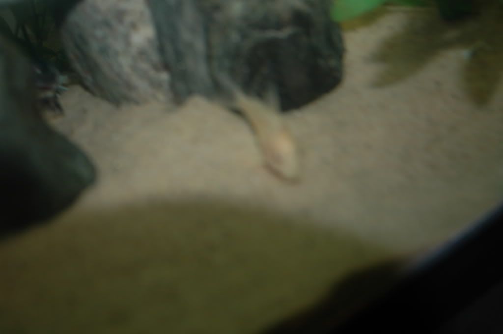DSC_4865.jpg