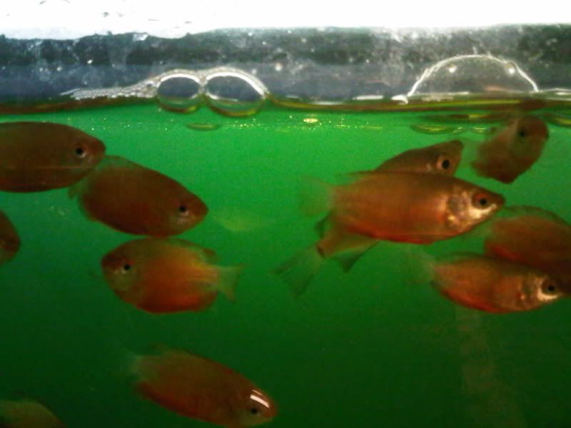 IMG-20110202-00012.jpg