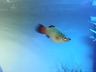 20121015_110036.jpg