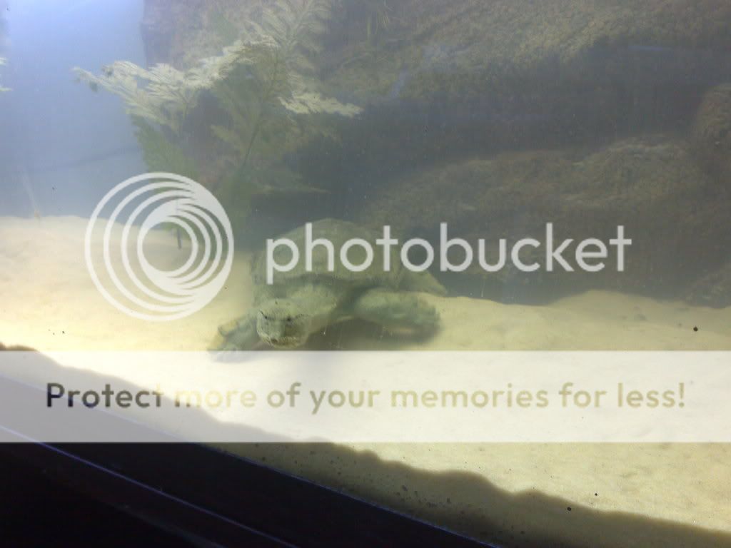 04072009971.jpg