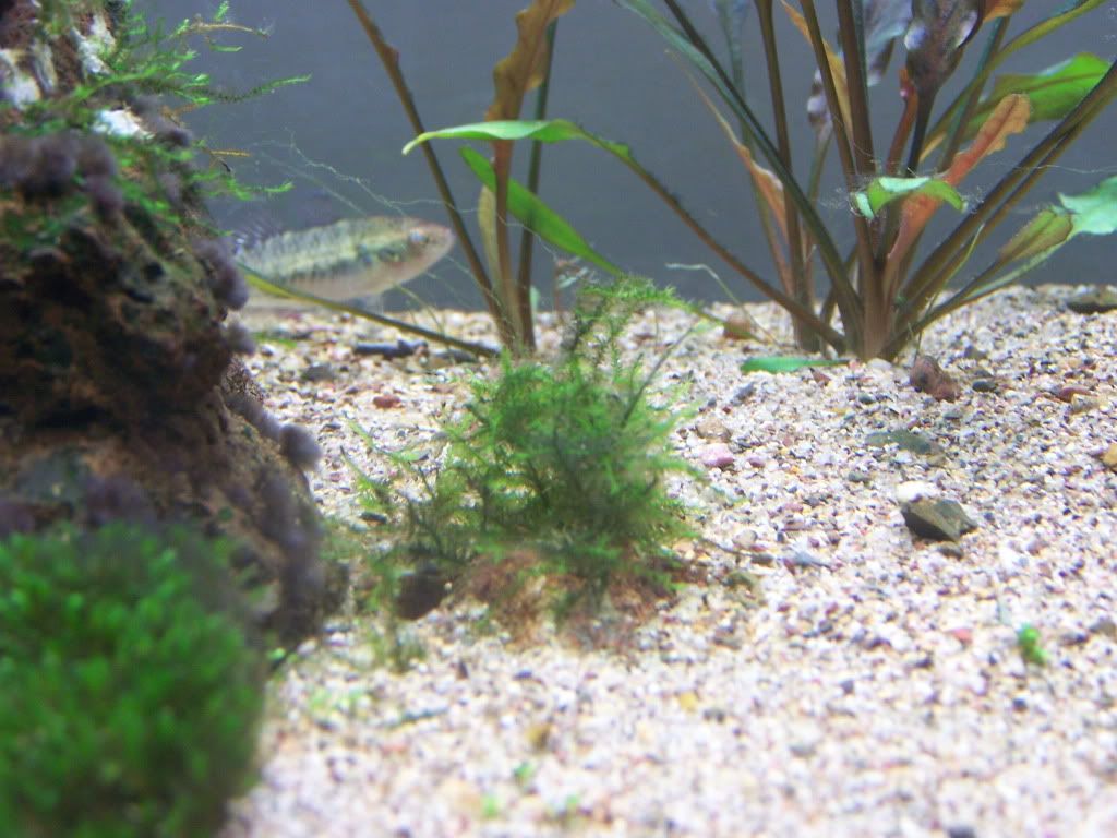 100_5313.jpg