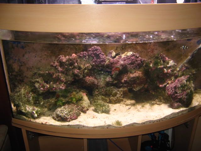 004-23.jpg