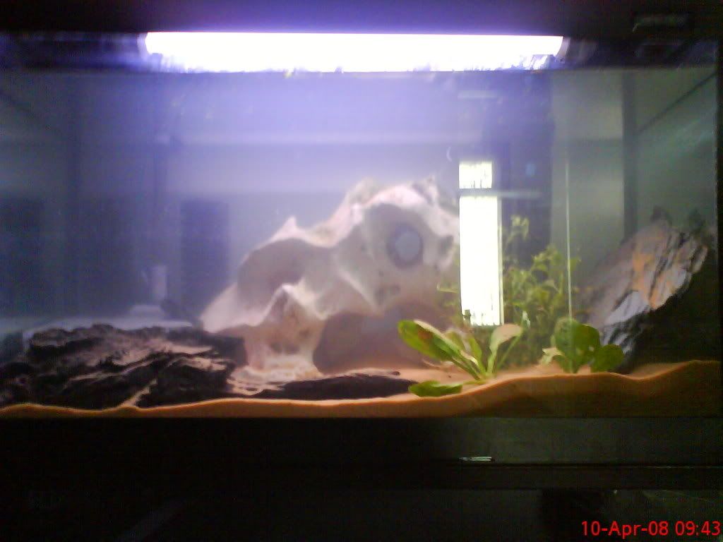 DSC00439.jpg