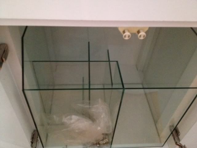 photo4.jpg