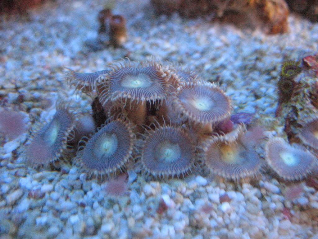 IMG_1993.jpg