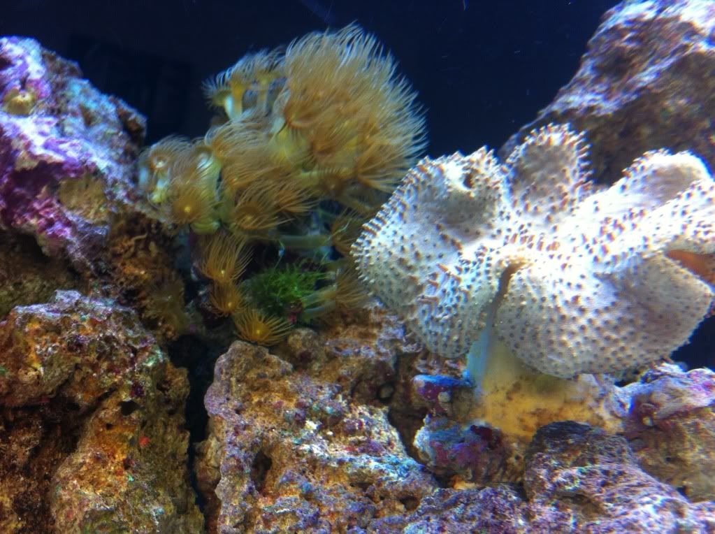 IMG_1123.jpg