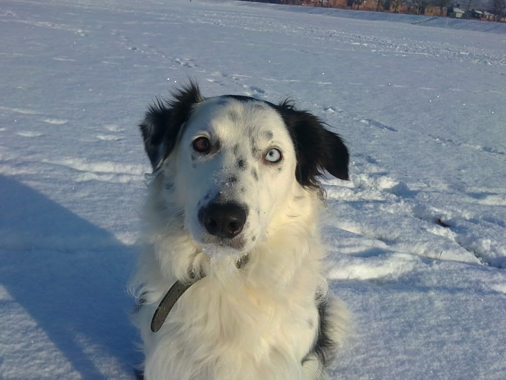 03122010218.jpg