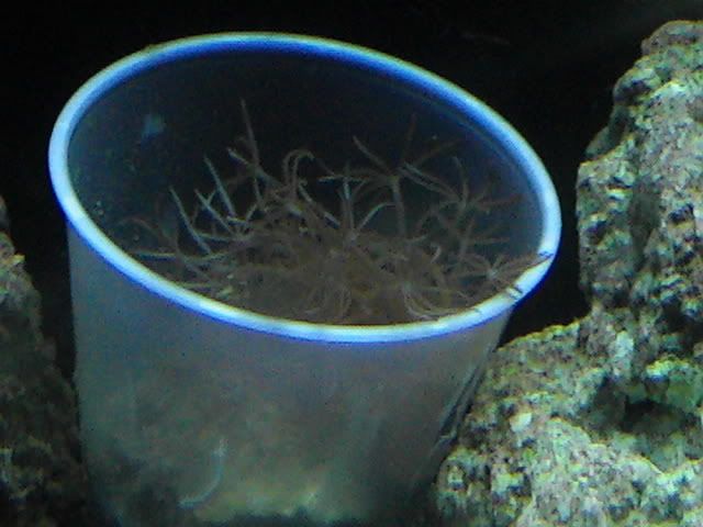 PIC_0023.jpg