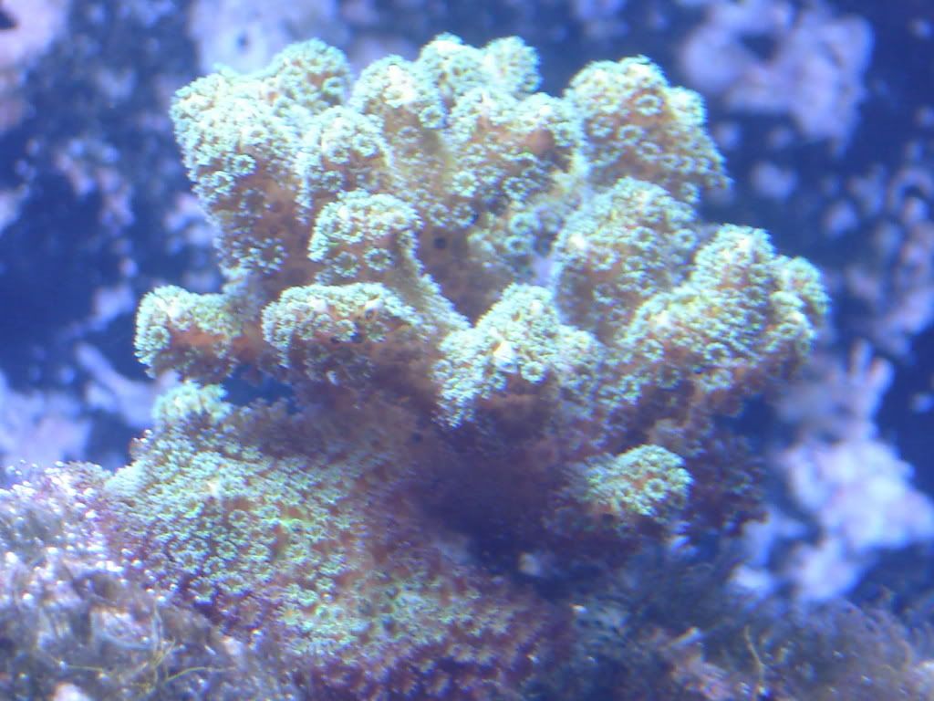 DSC01334.jpg