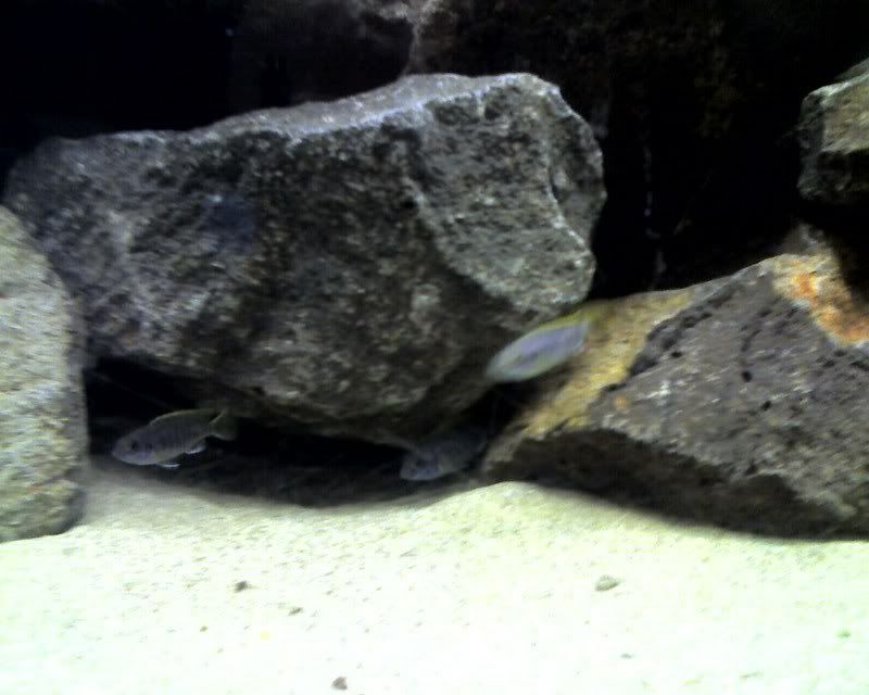 05-11-07_1647.jpg