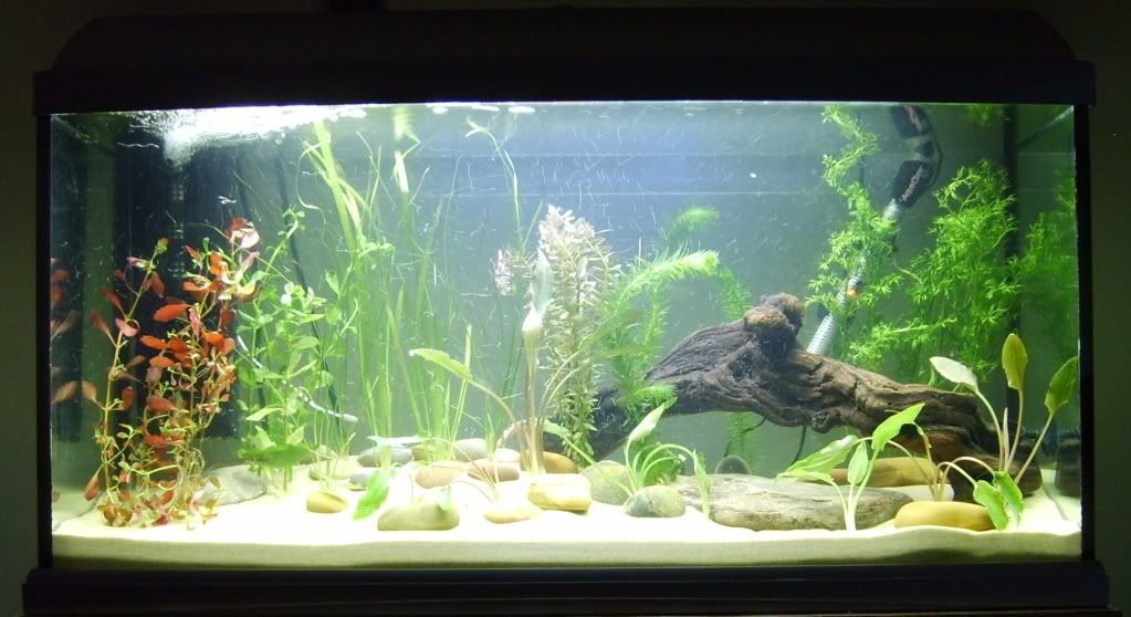 mytank100litre.jpg