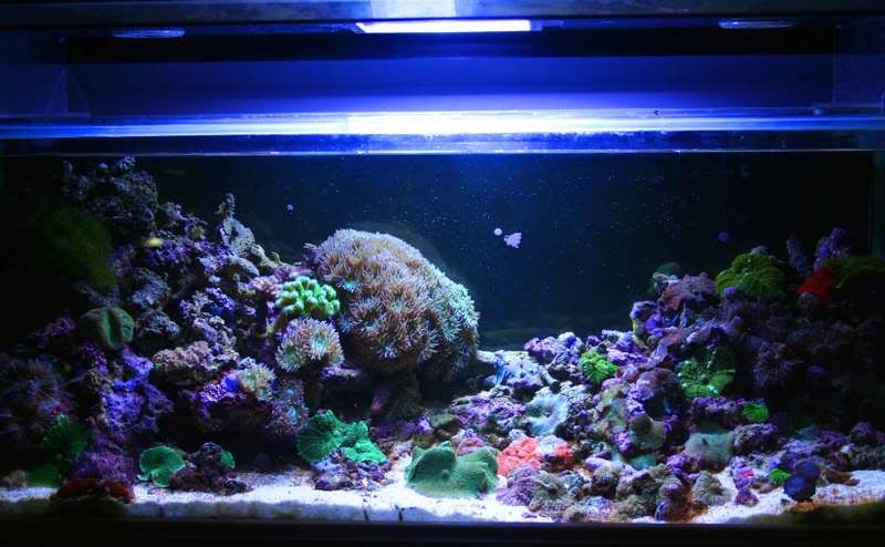 FTS.jpg