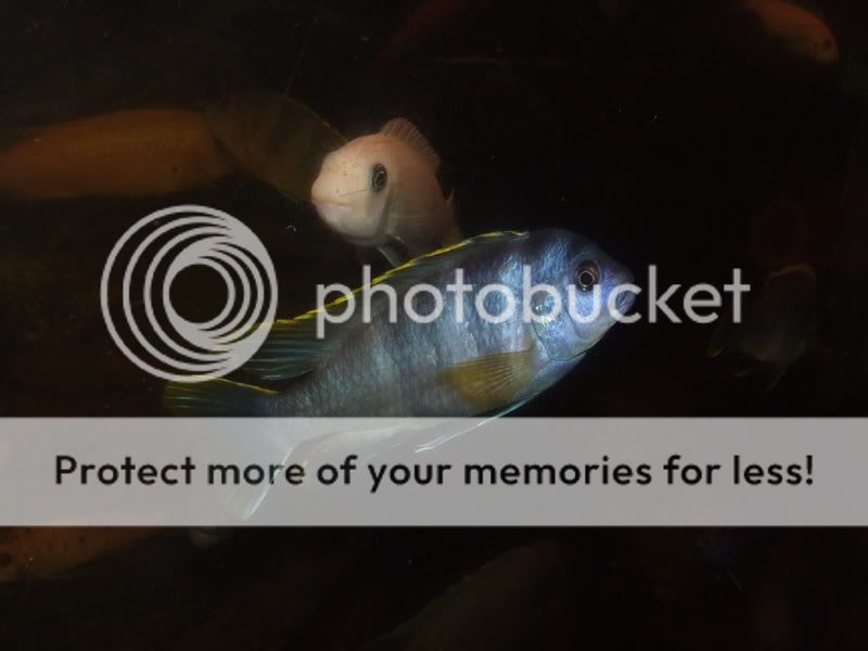 DSCF3247.jpg