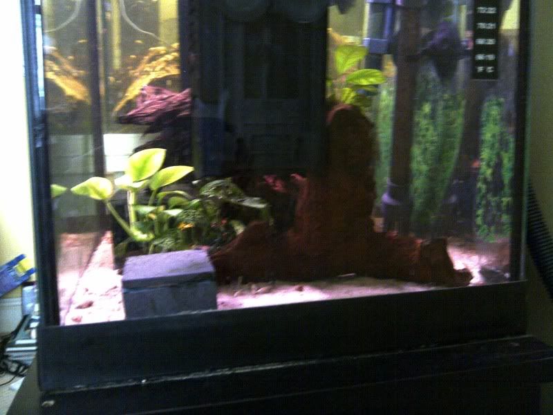 IMG-20110708-00124.jpg