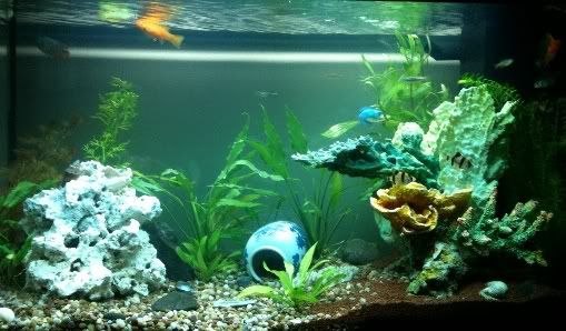 aquarium.jpg