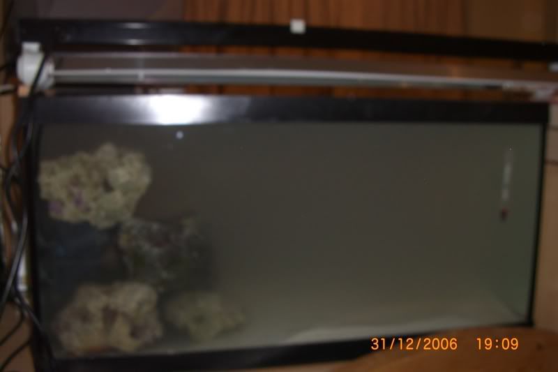 CIMG0020.jpg