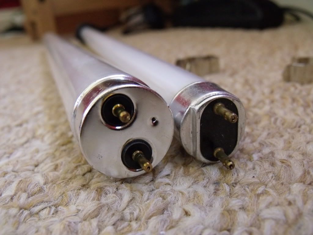 DSCF1653.jpg
