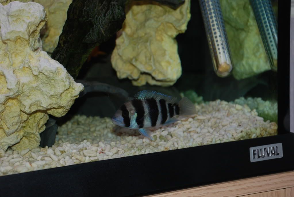 DSC_0002.jpg