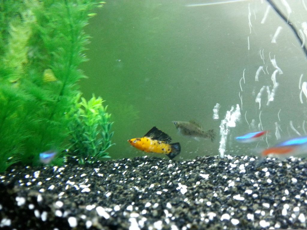 20120710_223440-1.jpg