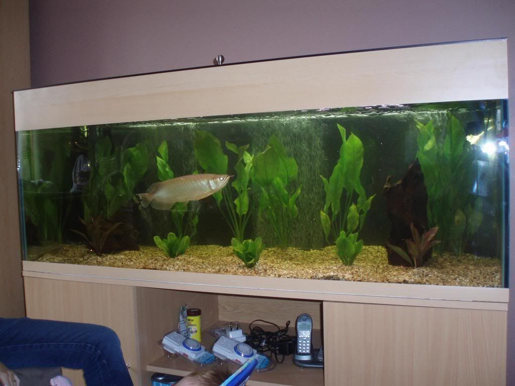 Picture697.jpg