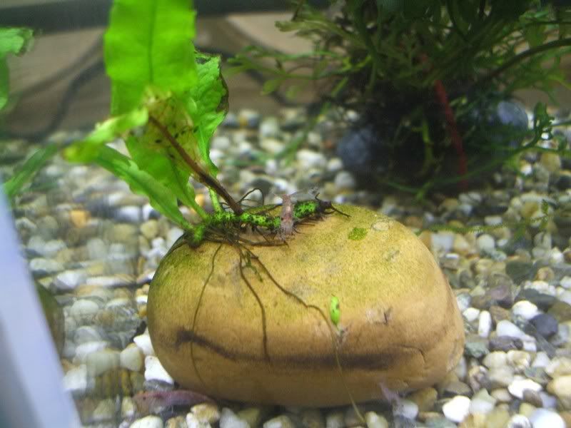 DSCF2350.jpg