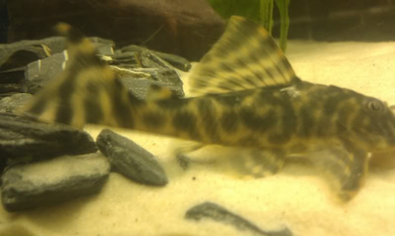 IMAG0753.jpg