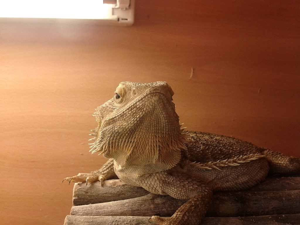 2012-07-14183447.jpg