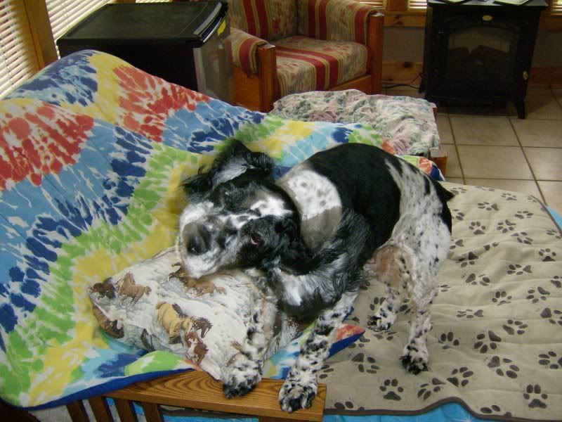pepper008.jpg
