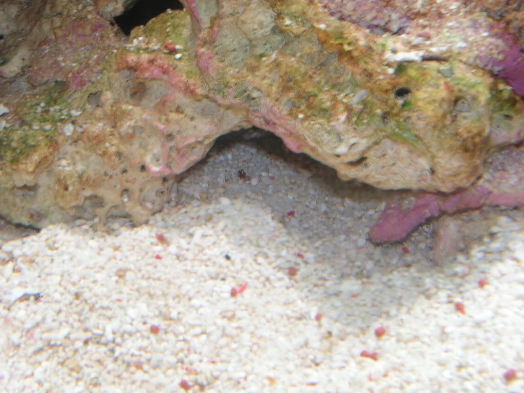 PICT1094.jpg