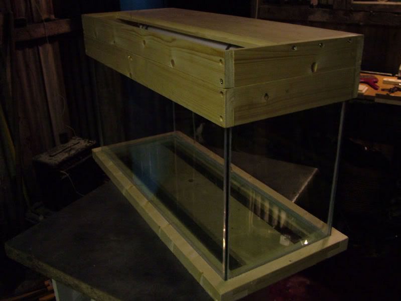 DSCF3883.jpg