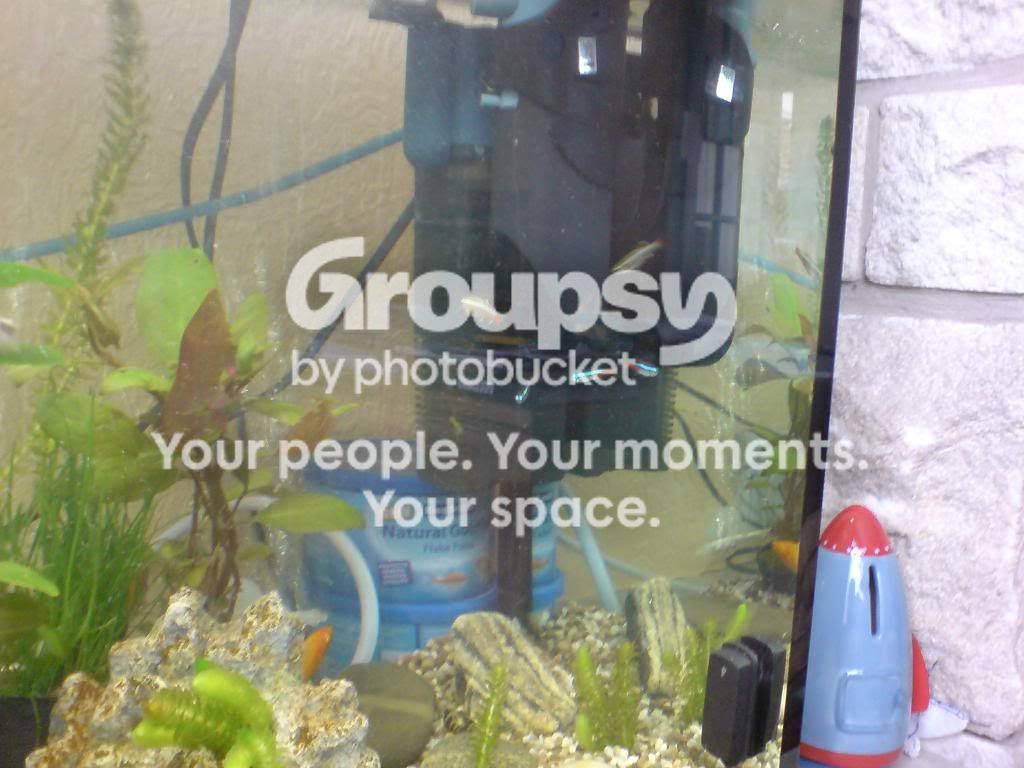 DSC00006.jpg