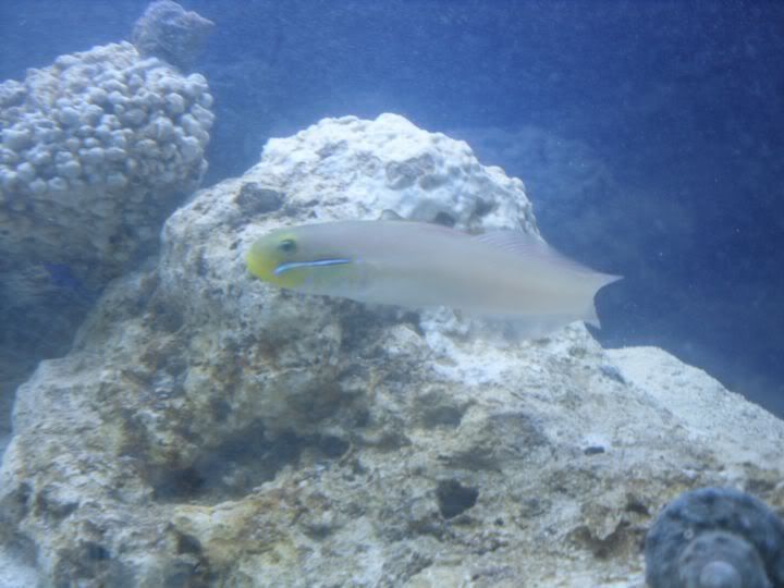 SDC10304.jpg