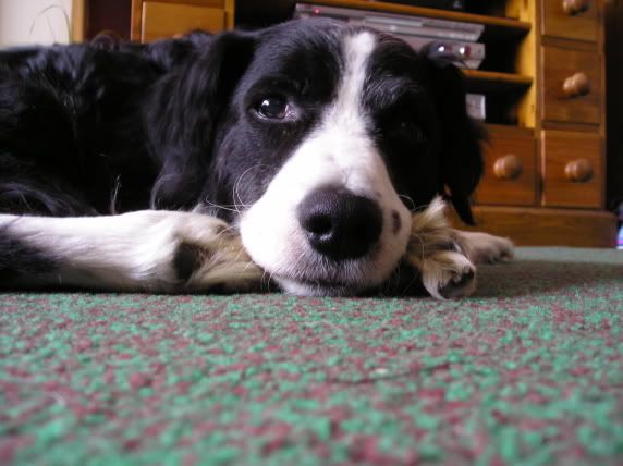Picture007.jpg