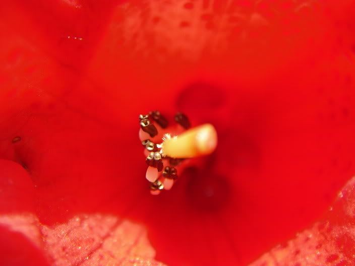 exburygardens020.jpg