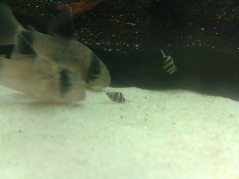 09022010587.jpg