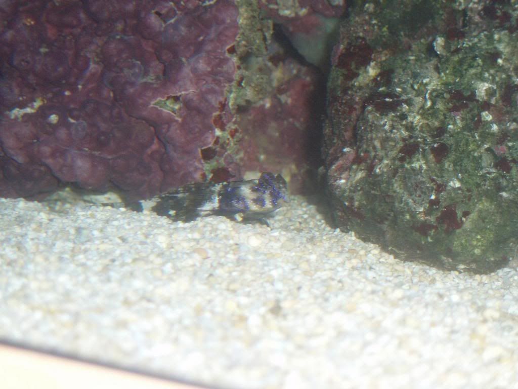Picture284.jpg