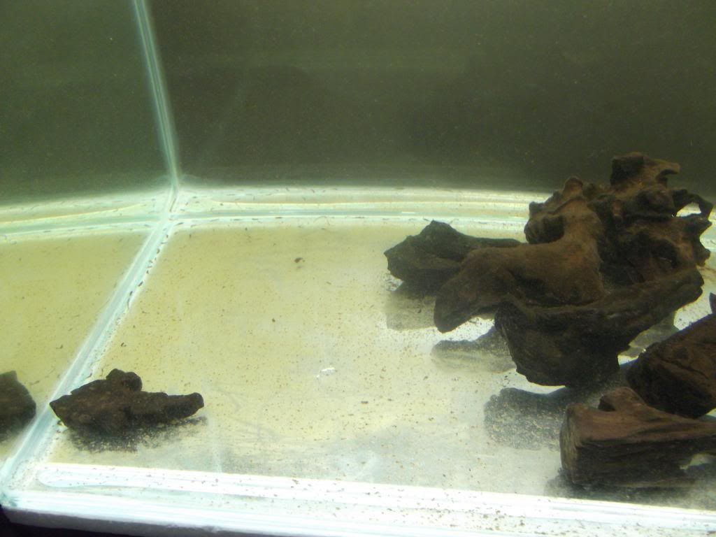 DSCF1466.jpg
