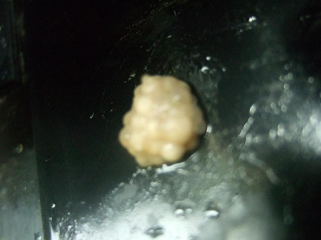 DSCF4270.jpg