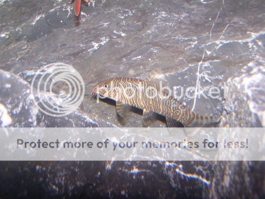 100_3891.jpg