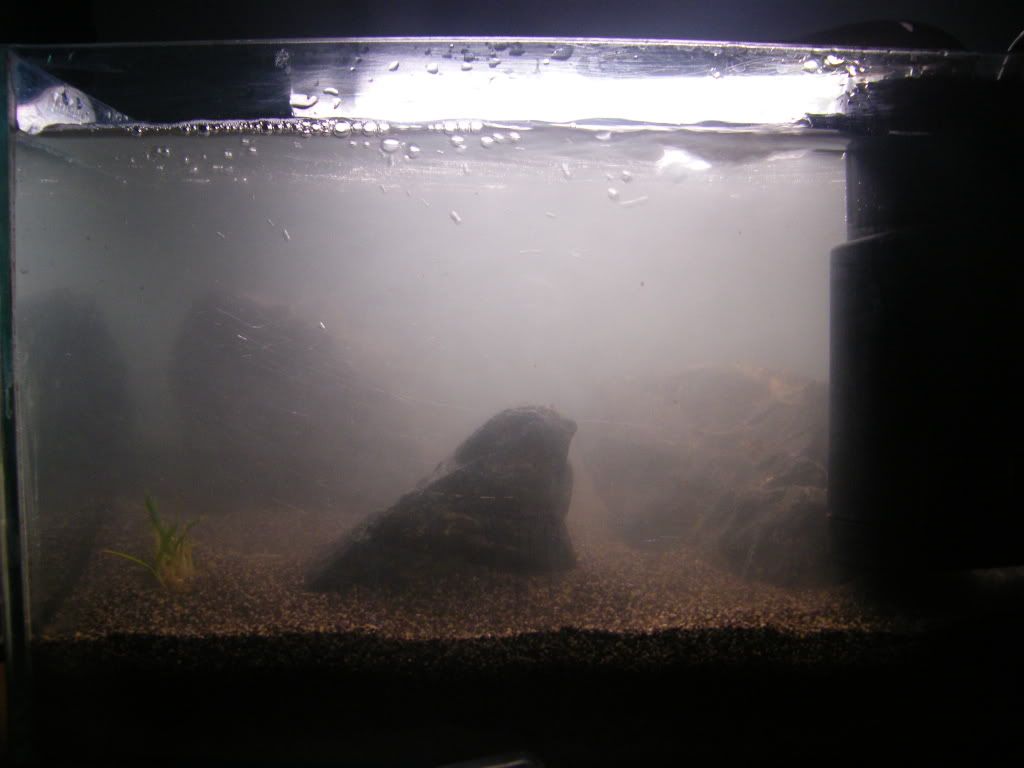 DSCF4547.jpg