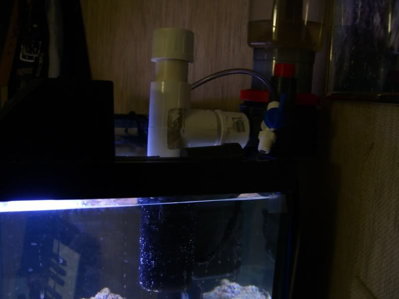 TankUpdate12-21-06004.jpg