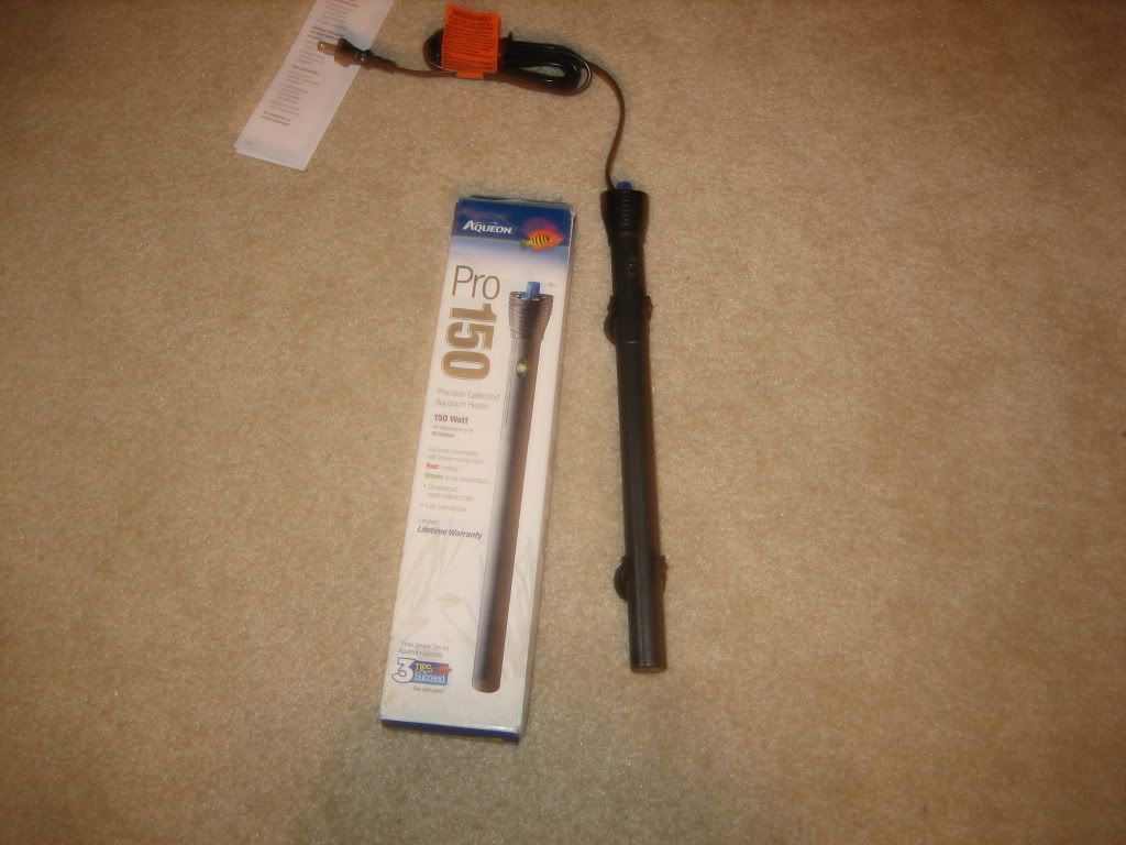 fish016.jpg