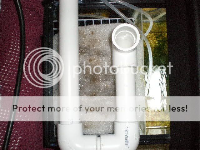 P2020002.jpg