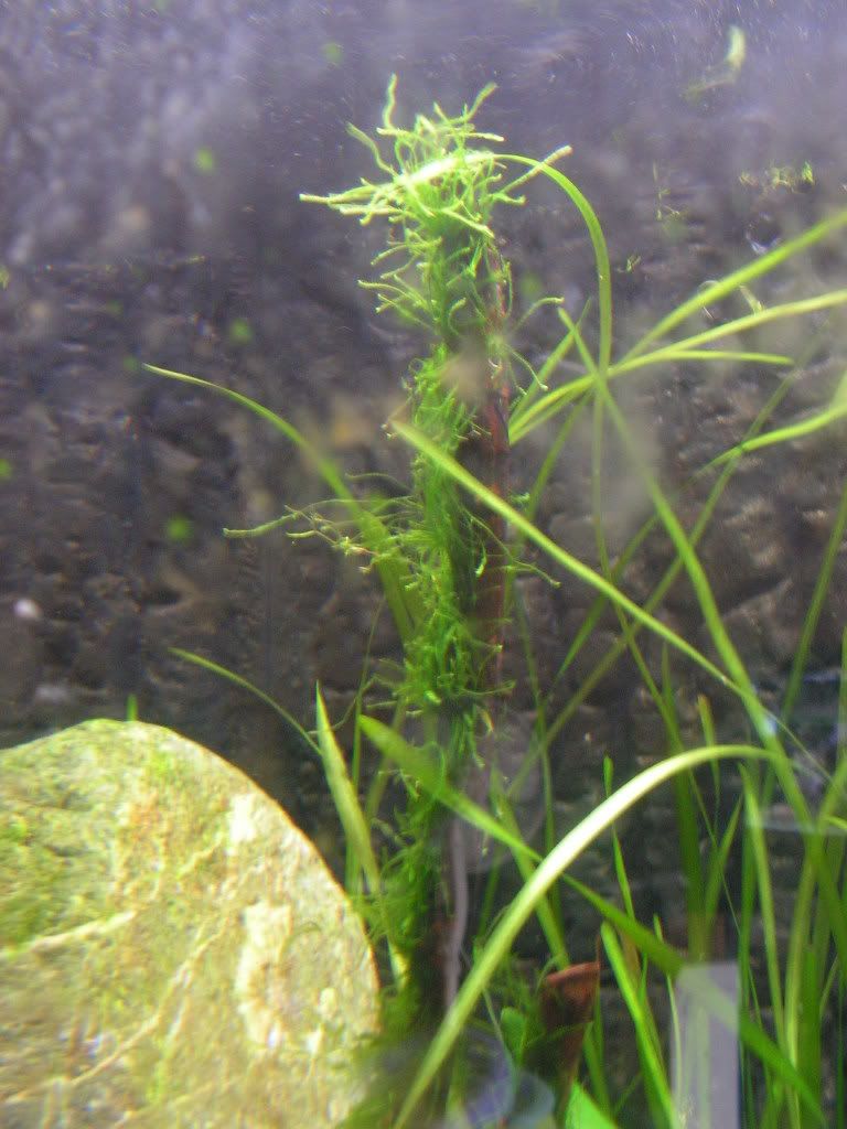 PICT1382.jpg
