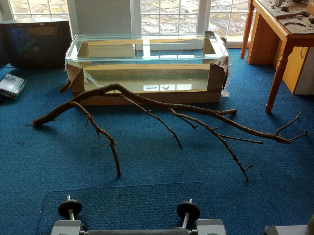 photo5.jpg