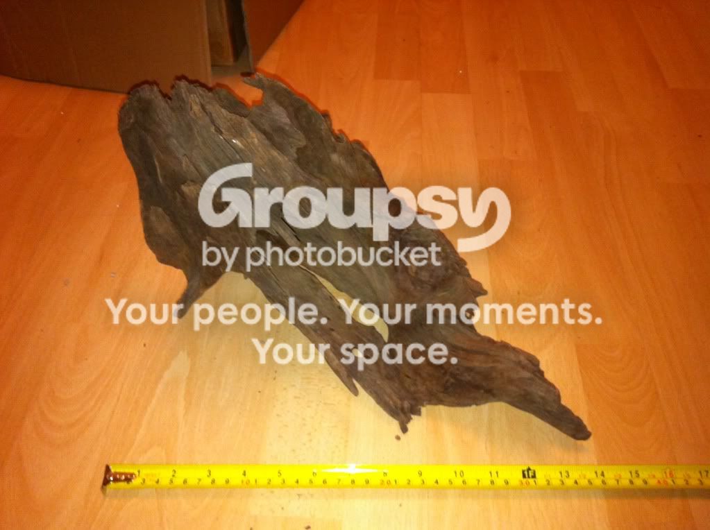 photo-3.jpg