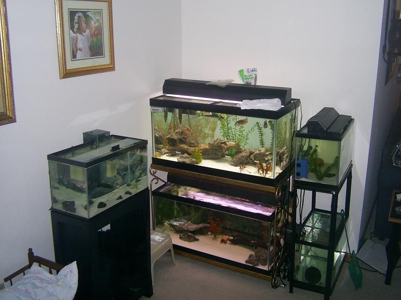 Tanksarea5.jpg