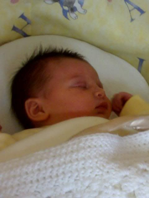 13-04-07_1426.jpg